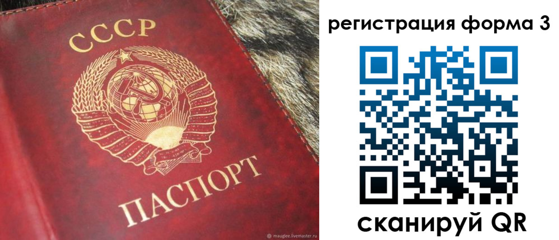 прописка регистрация в Владимире